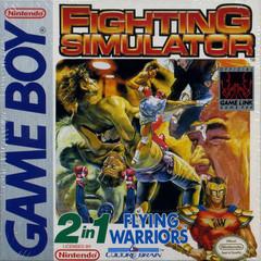 2 In 1: Flying Warriors / Fighting Simulator (GB)
