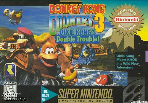 Donkey Kong Country 3 (SNES)